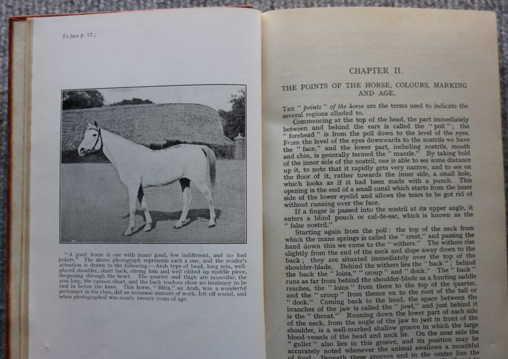 Animal Management 1923. prepared in the veterinary department of the war office. H.M.S.O. - Image 7