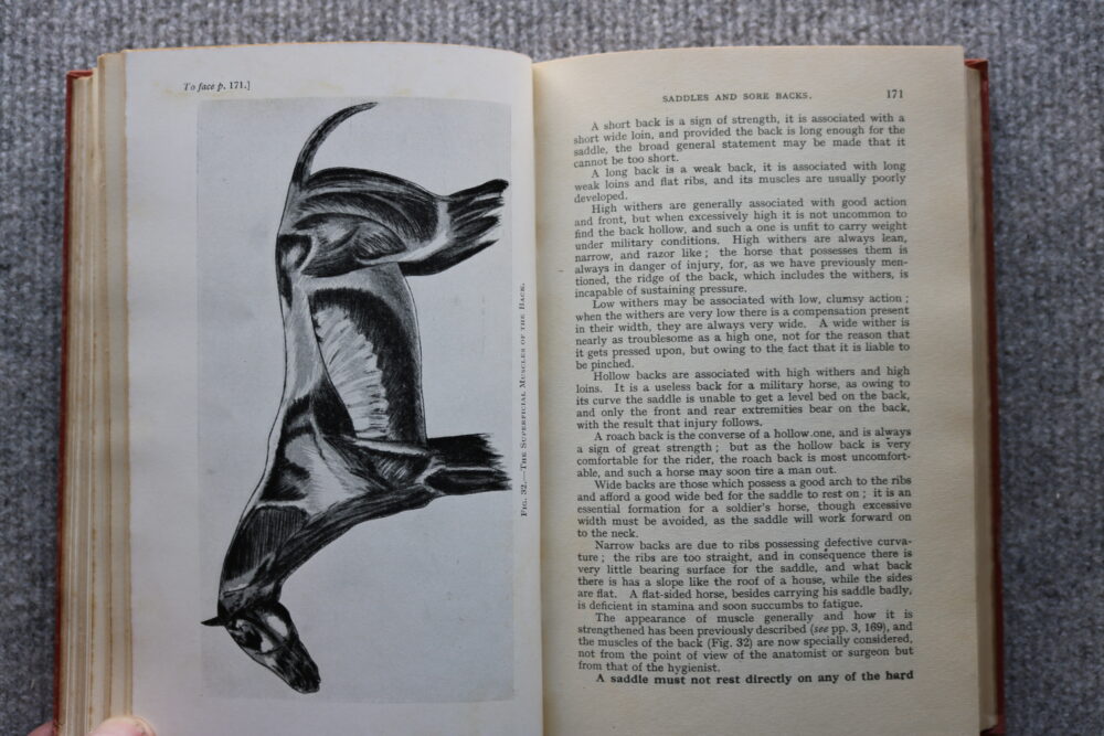 Animal Management 1923. prepared in the veterinary department of the war office. H.M.S.O. - Image 12
