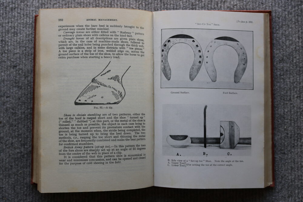 Animal Management 1923. prepared in the veterinary department of the war office. H.M.S.O. - Image 13