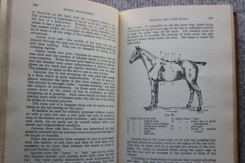 Animal Management 1923. prepared in the veterinary department of the war office. H.M.S.O. - Image 15