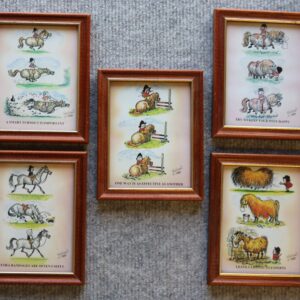 Thelwell, 5 Framed prints