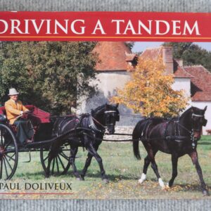 Driving A Tandem, Paul Doliveux