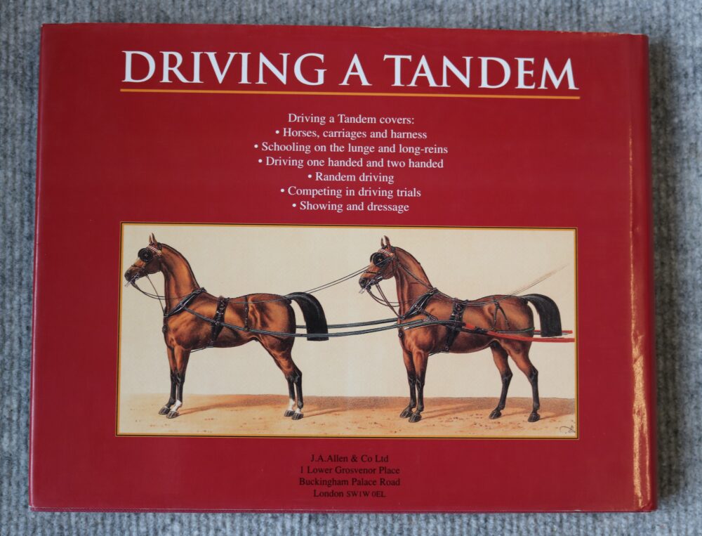 Driving A Tandem, Paul Doliveux - Image 2