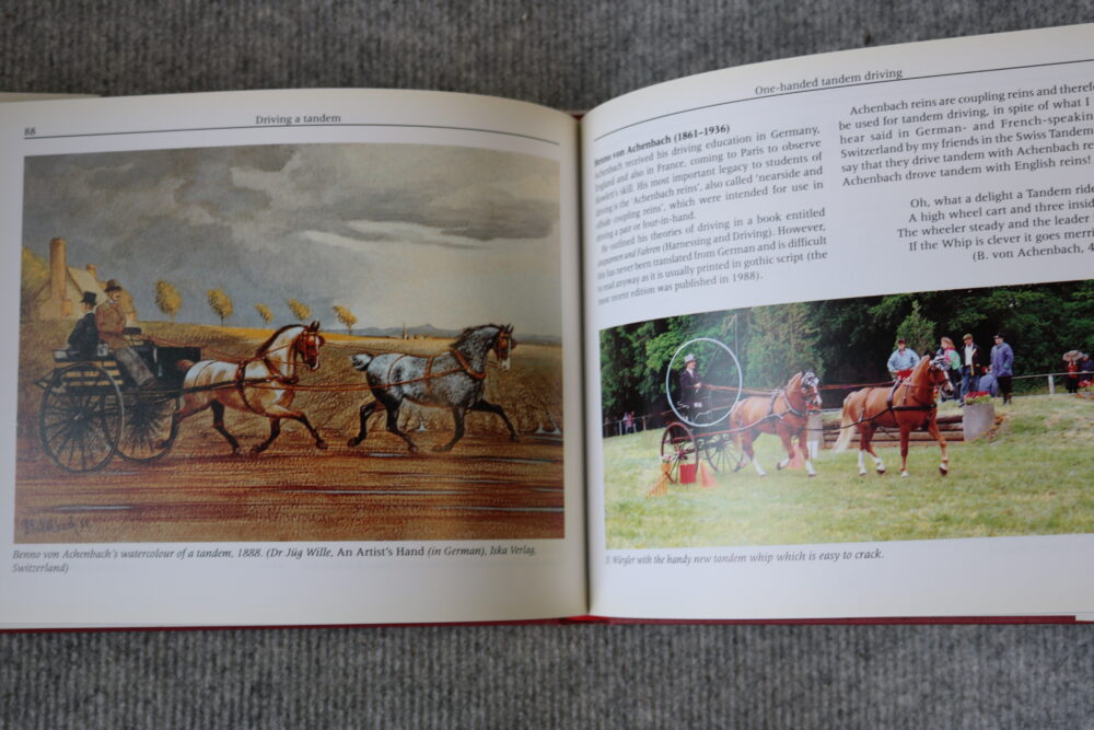Driving A Tandem, Paul Doliveux - Image 16