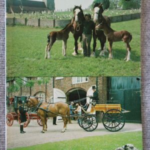 Heavy Horse & Driving Magazine Autumn 1978