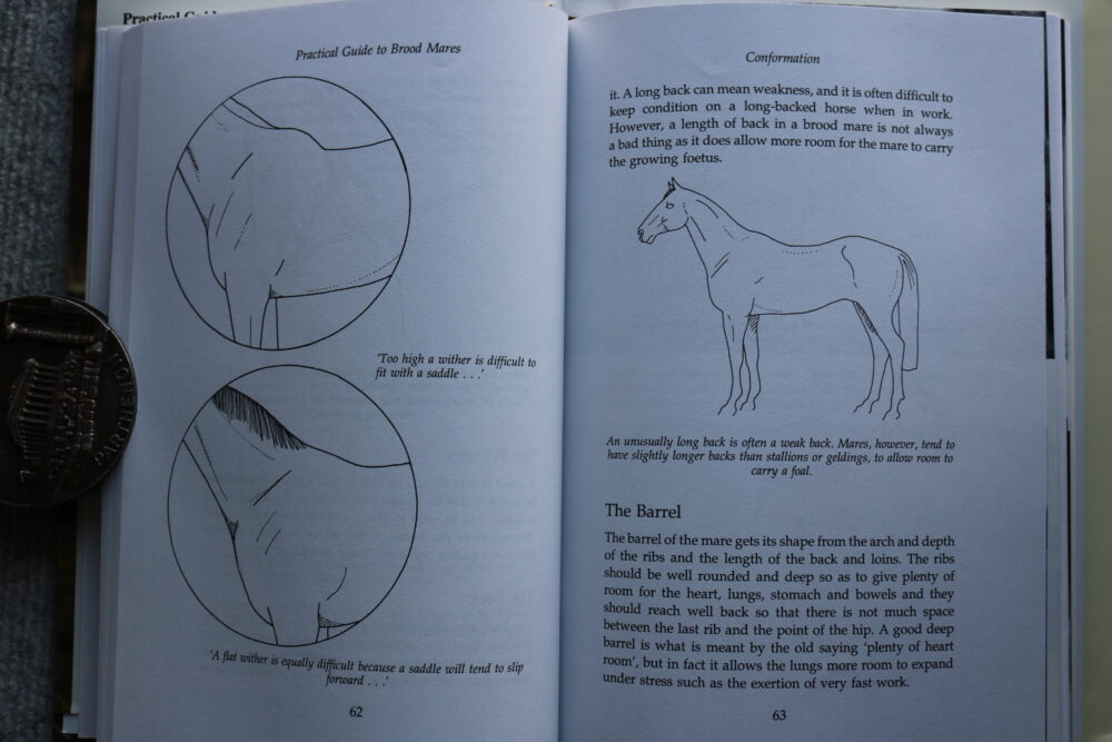 Practical Guide to Brood Mares, Alfred Goulder - Image 9