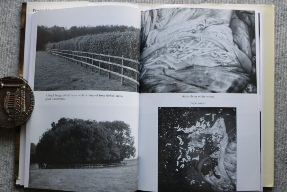 Practical Guide to Brood Mares, Alfred Goulder - Image 10