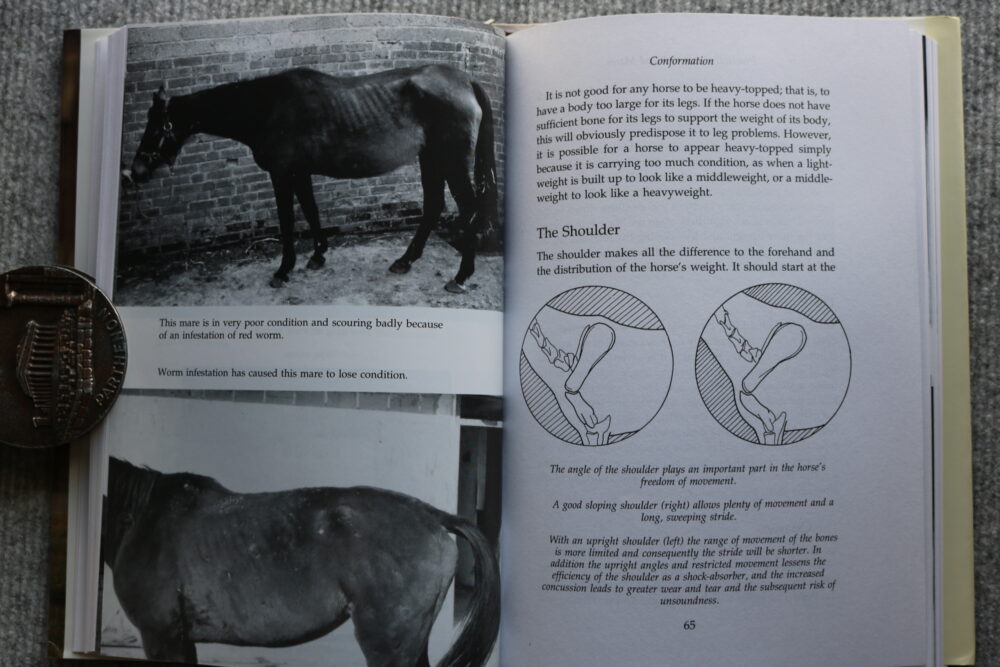 Practical Guide to Brood Mares, Alfred Goulder - Image 11