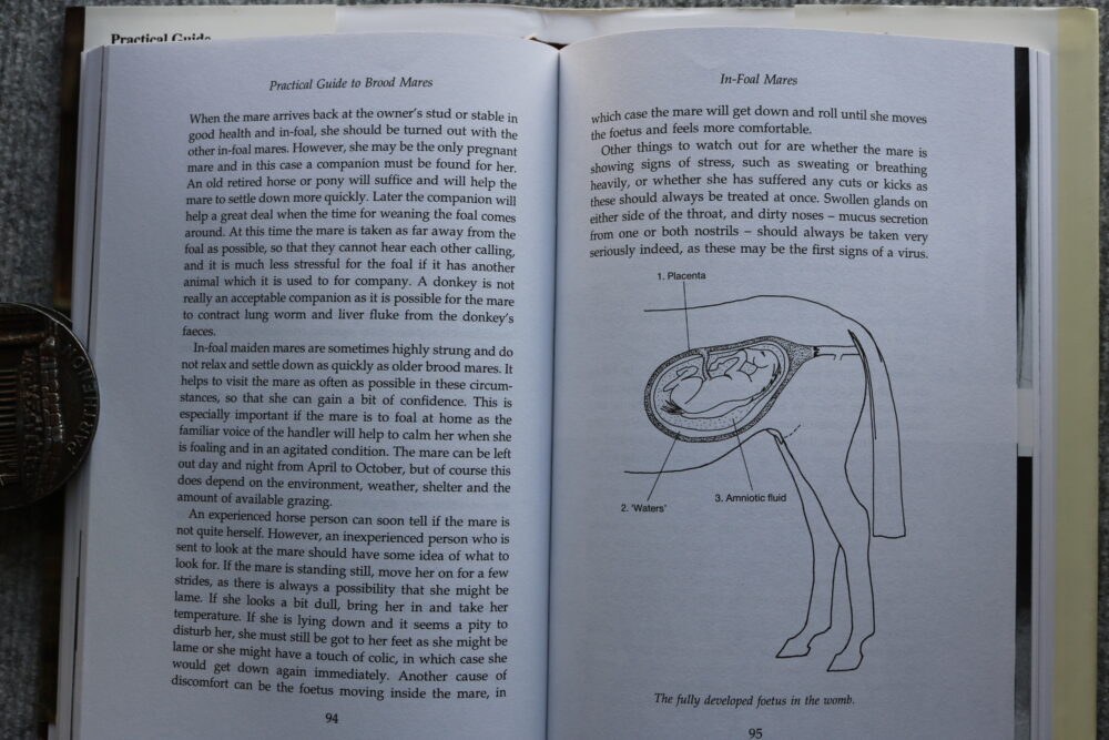 Practical Guide to Brood Mares, Alfred Goulder - Image 12