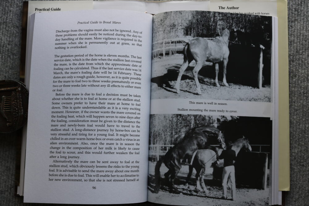 Practical Guide to Brood Mares, Alfred Goulder - Image 13