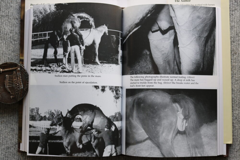 Practical Guide to Brood Mares, Alfred Goulder - Image 14