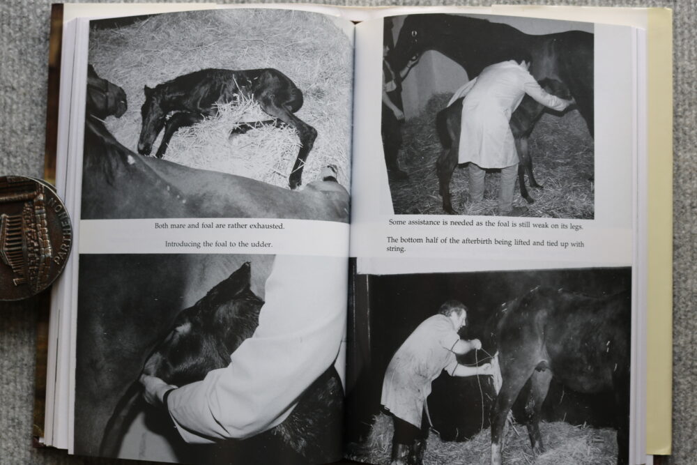 Practical Guide to Brood Mares, Alfred Goulder - Image 15