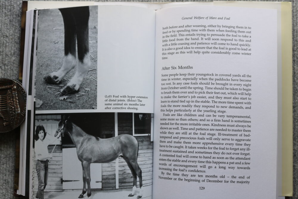 Practical Guide to Brood Mares, Alfred Goulder - Image 17