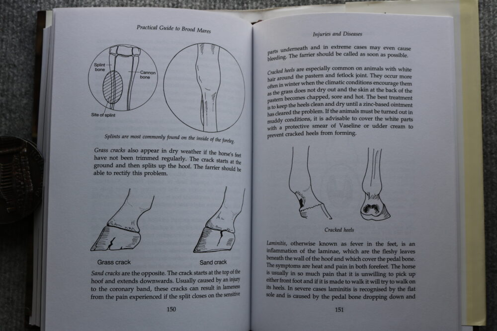 Practical Guide to Brood Mares, Alfred Goulder - Image 18