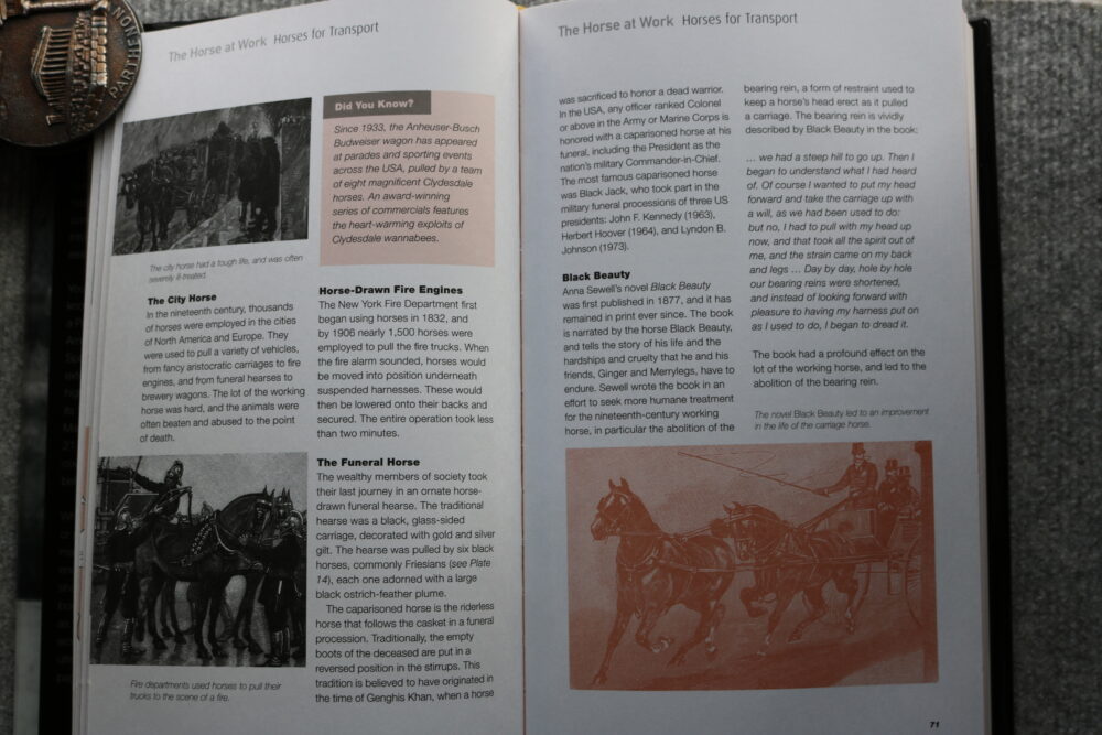 The Horse, A Miscellany of Equine Knowledge, Julie Whitaker & Ian Whitelaw - Image 9