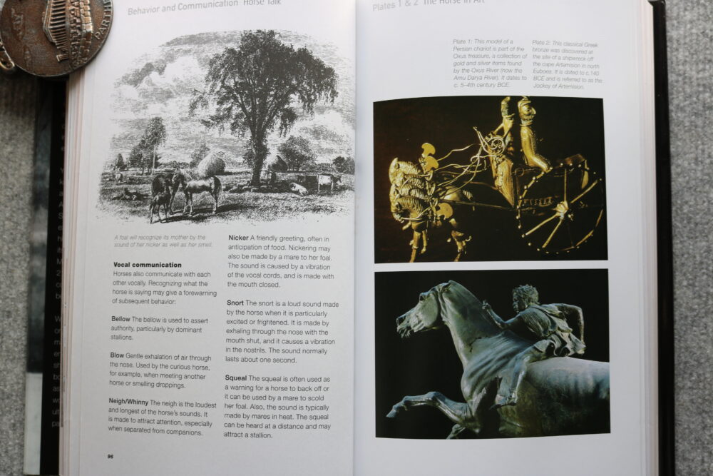 The Horse, A Miscellany of Equine Knowledge, Julie Whitaker & Ian Whitelaw - Image 10