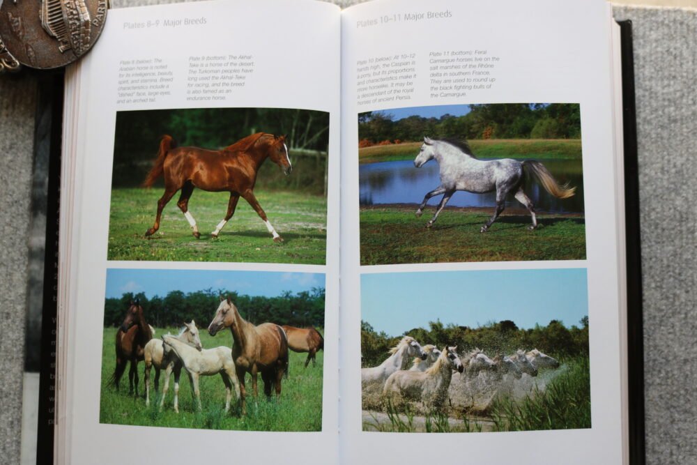 The Horse, A Miscellany of Equine Knowledge, Julie Whitaker & Ian Whitelaw - Image 12