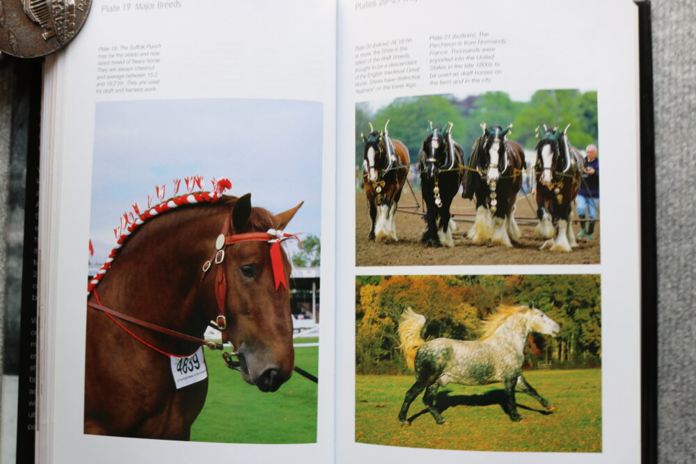 The Horse, A Miscellany of Equine Knowledge, Julie Whitaker & Ian Whitelaw - Image 13