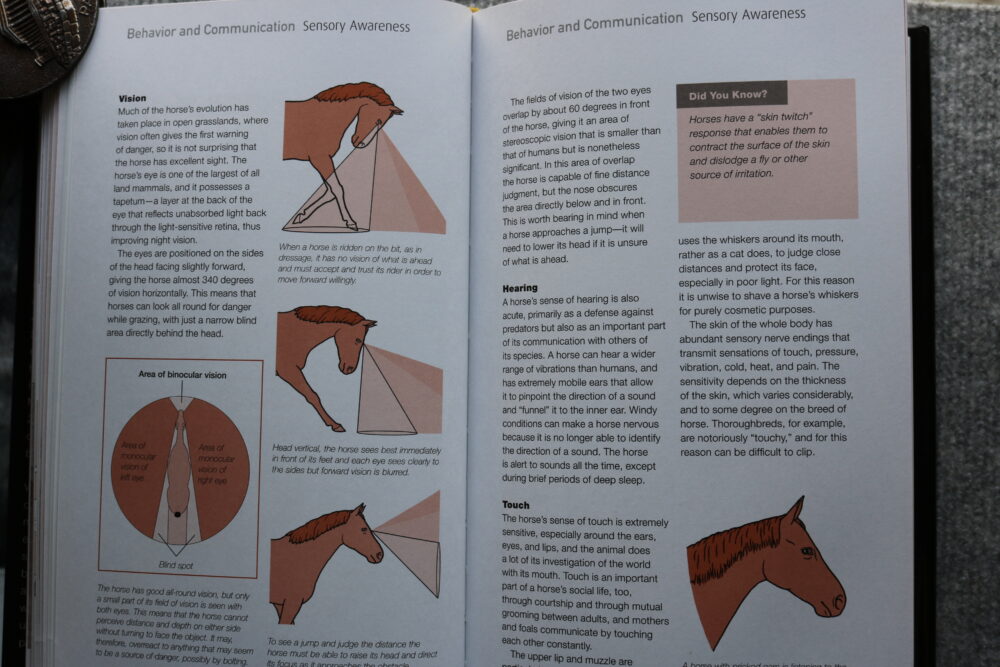 The Horse, A Miscellany of Equine Knowledge, Julie Whitaker & Ian Whitelaw - Image 14