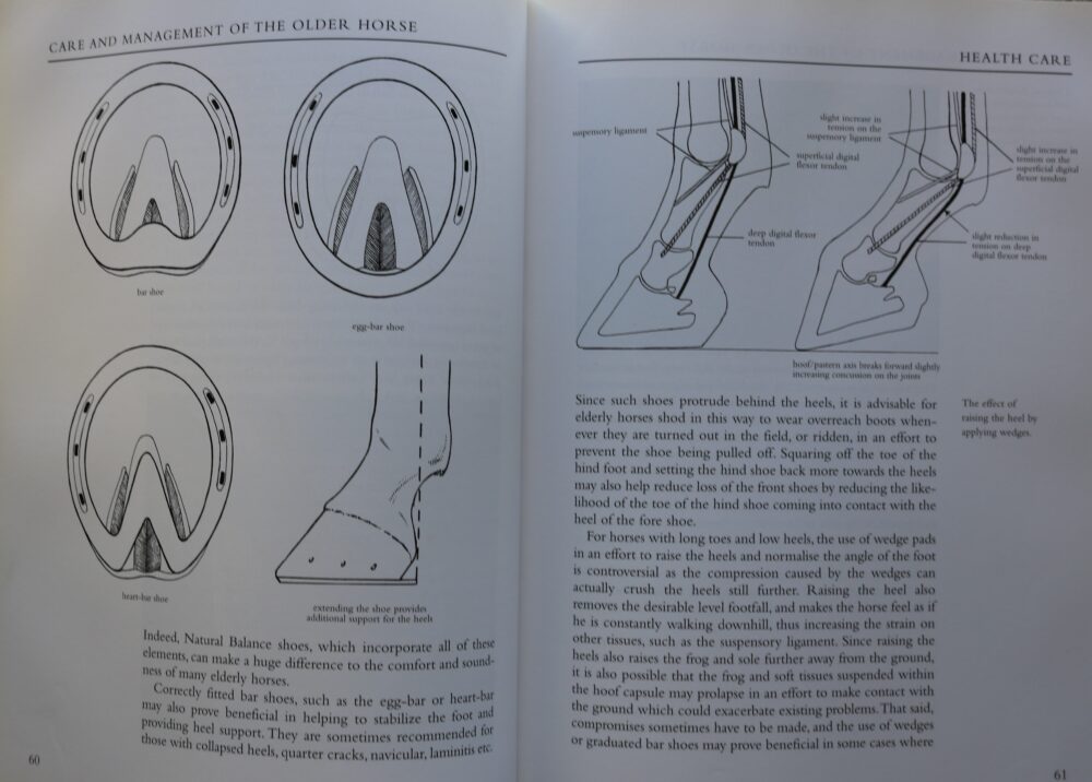 Care and Management of the Older Horse, Heather Scott Parsons - Image 11