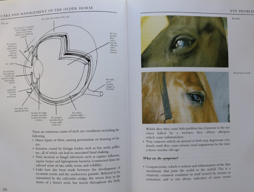 Care and Management of the Older Horse, Heather Scott Parsons - Image 16