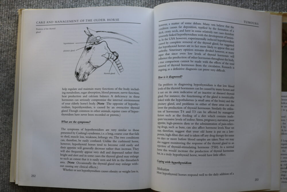 Care and Management of the Older Horse, Heather Scott Parsons - Image 17