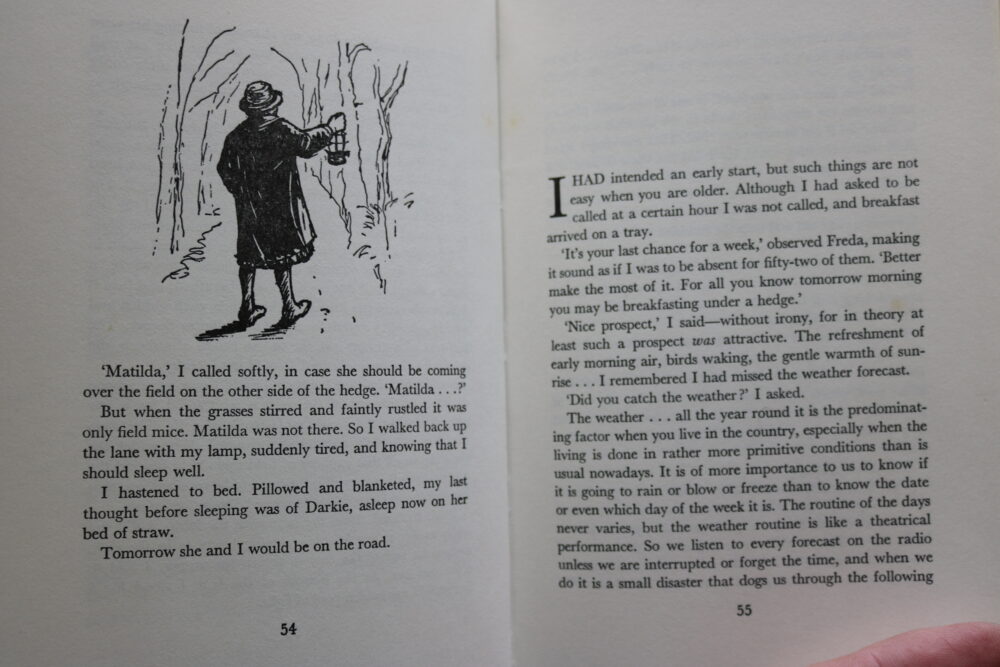 Daisy Backer Daisy Baker, More Travels In A Donkey Trap - Horse Books