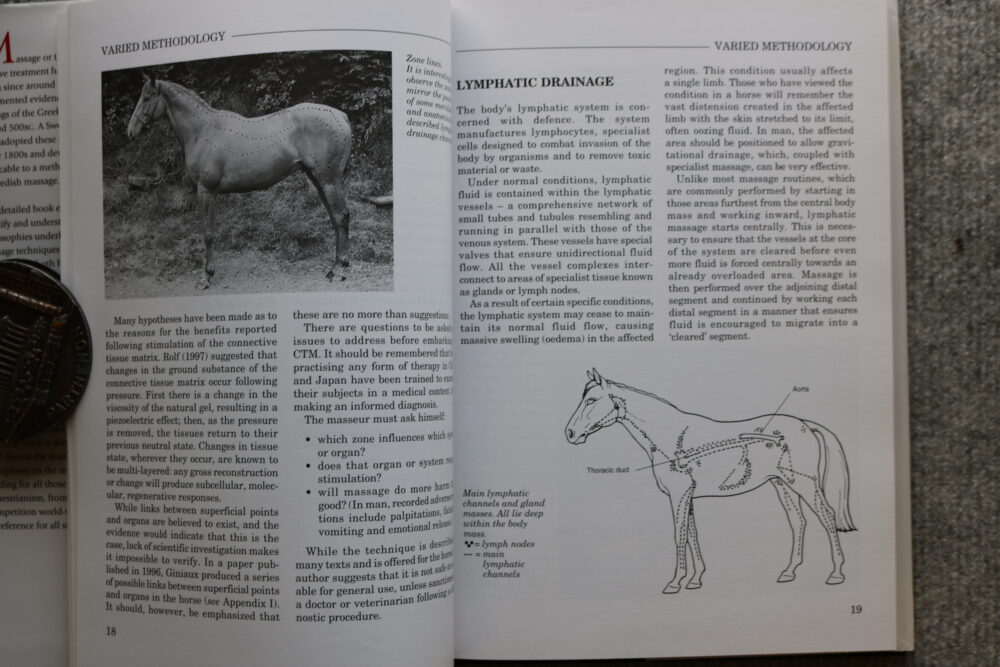 Massage Techniques for Horse and Rider, Mary W Bromiley - Image 6