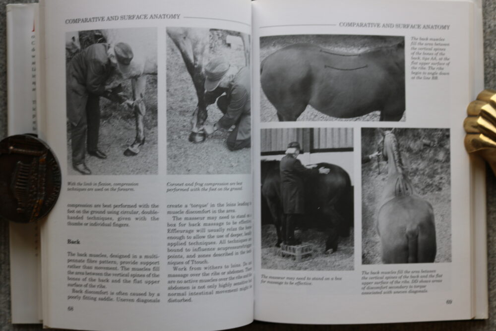 Massage Techniques for Horse and Rider, Mary W Bromiley - Image 8
