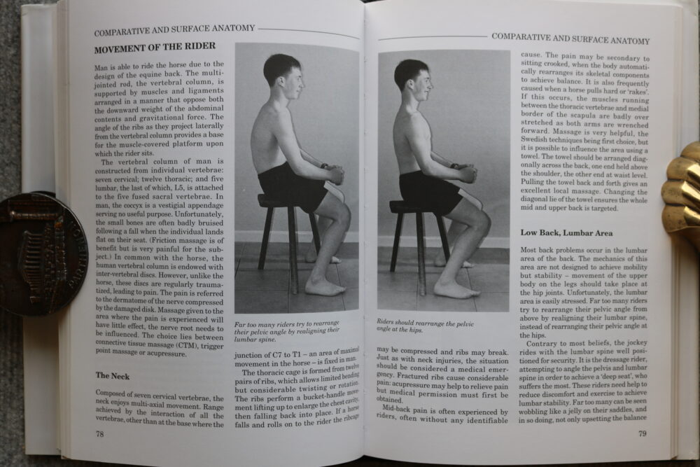 Massage Techniques for Horse and Rider, Mary W Bromiley - Image 9