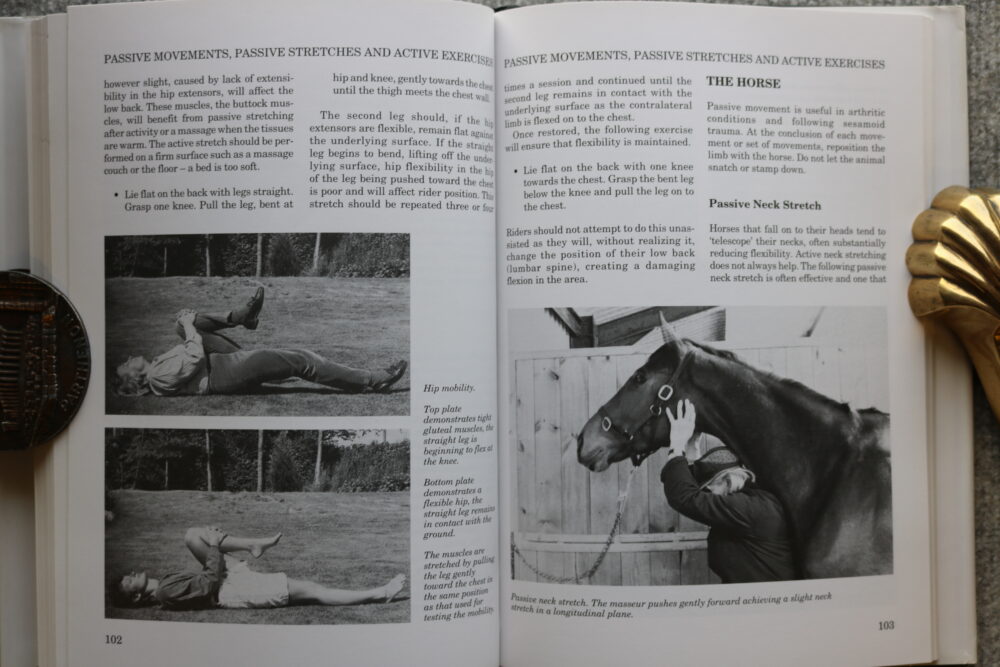 Massage Techniques for Horse and Rider, Mary W Bromiley - Image 10