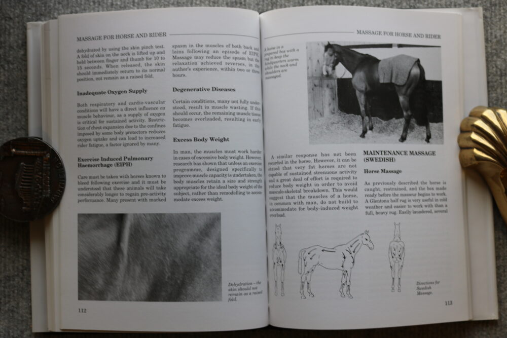 Massage Techniques for Horse and Rider, Mary W Bromiley - Image 11