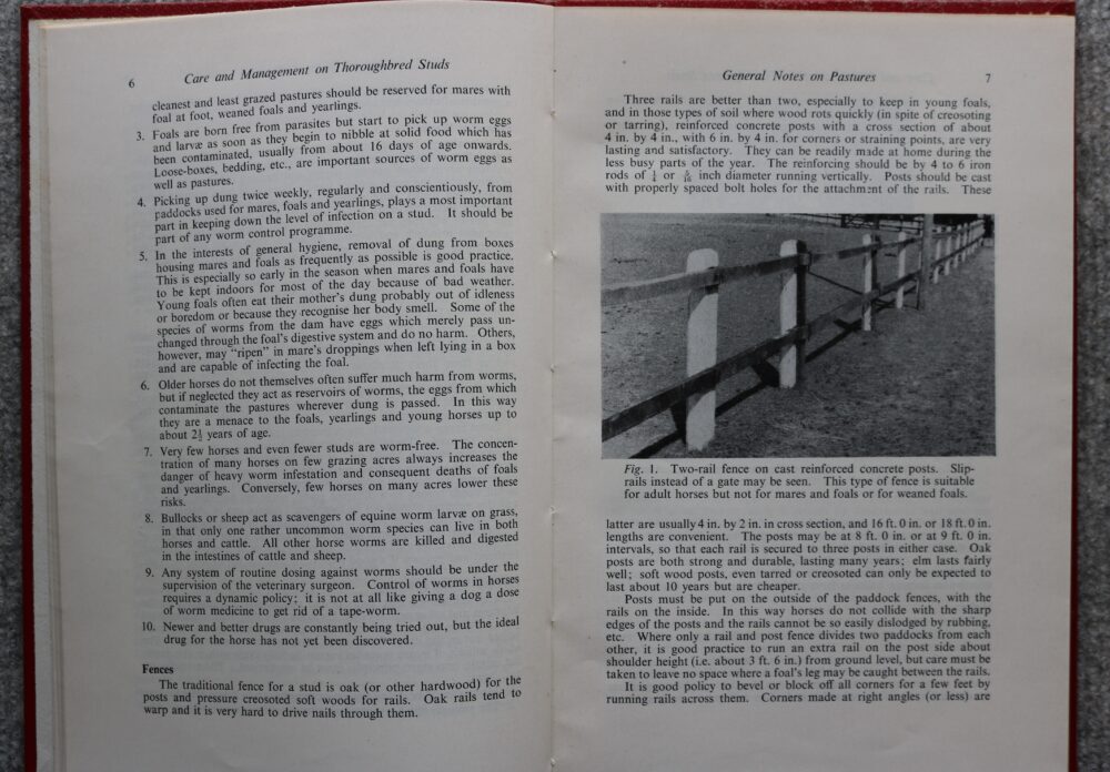 Practical Essentials in the Care and Management of Horses on Thoroughbred Studs, Wm. C Miller - Image 5