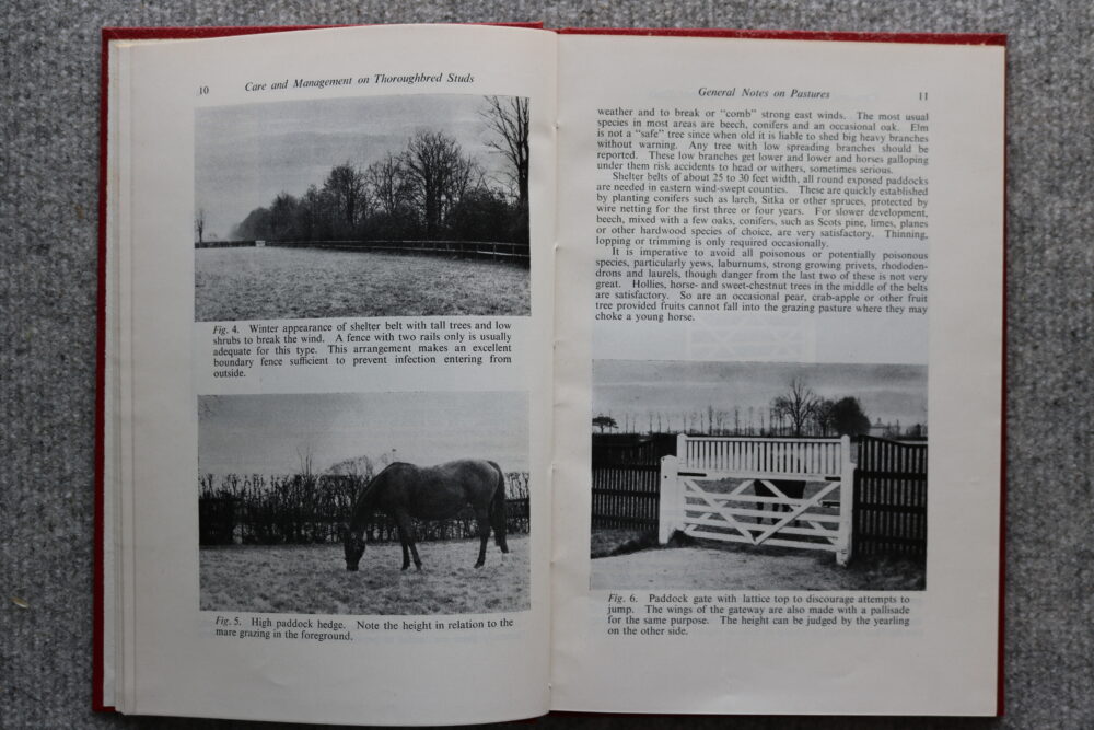 Practical Essentials in the Care and Management of Horses on Thoroughbred Studs, Wm. C Miller - Image 6