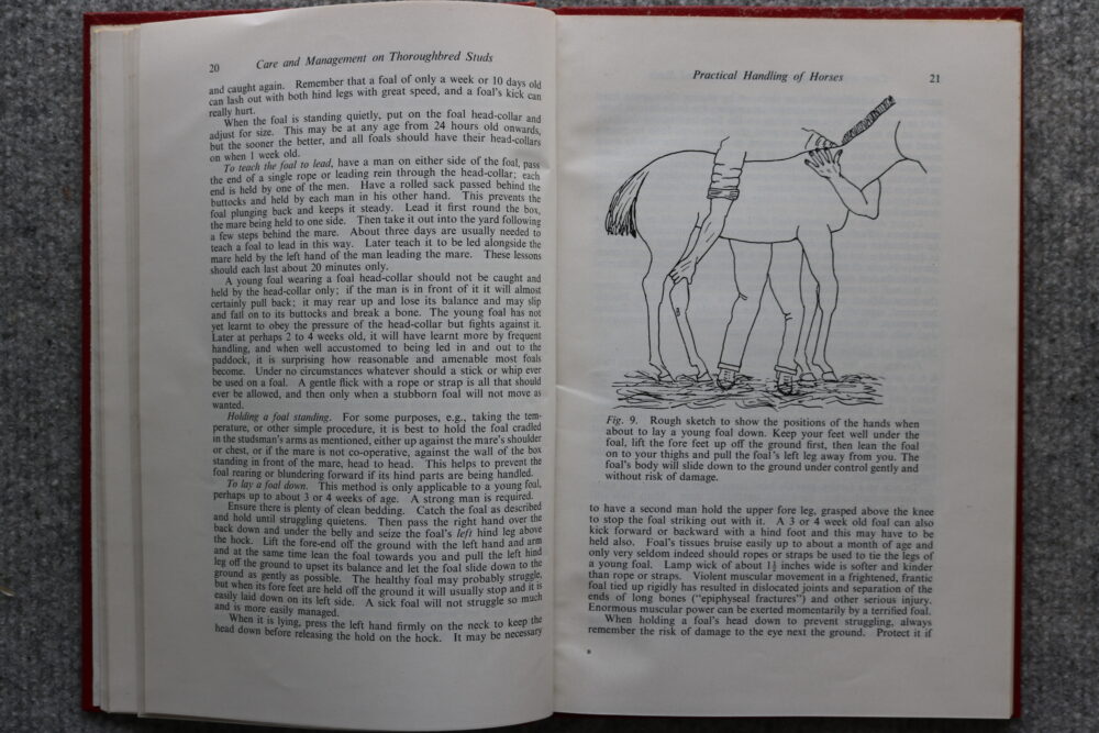 Practical Essentials in the Care and Management of Horses on Thoroughbred Studs, Wm. C Miller - Image 7