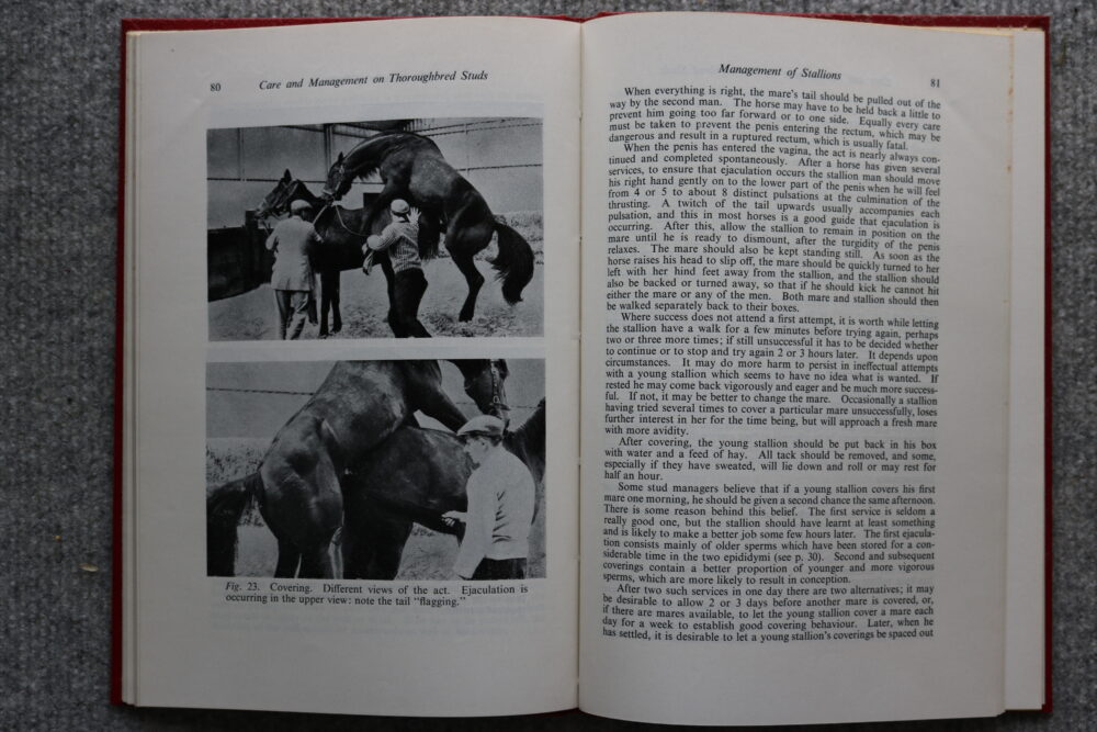 Practical Essentials in the Care and Management of Horses on Thoroughbred Studs, Wm. C Miller - Image 10