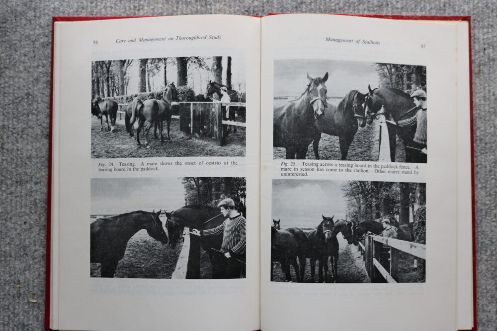 Practical Essentials in the Care and Management of Horses on Thoroughbred Studs, Wm. C Miller - Image 11