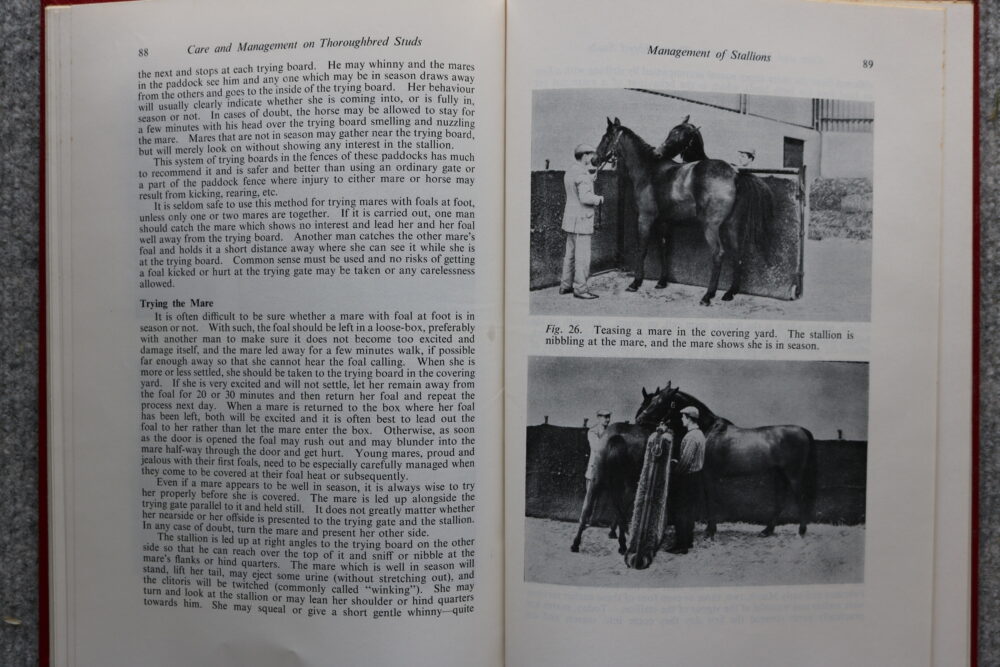 Practical Essentials in the Care and Management of Horses on Thoroughbred Studs, Wm. C Miller - Image 12