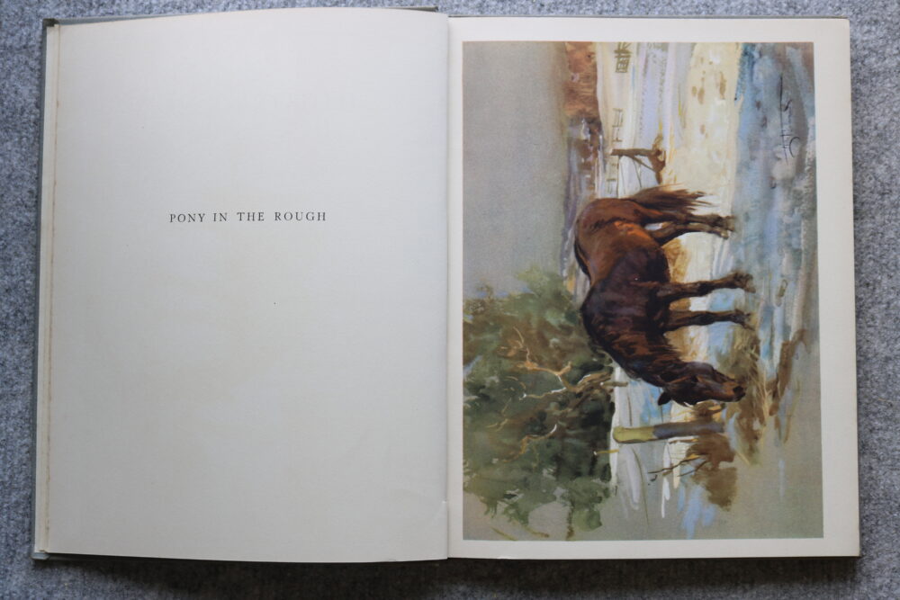 Getting To Know Your Pony, Lionel Edwards - Image 5