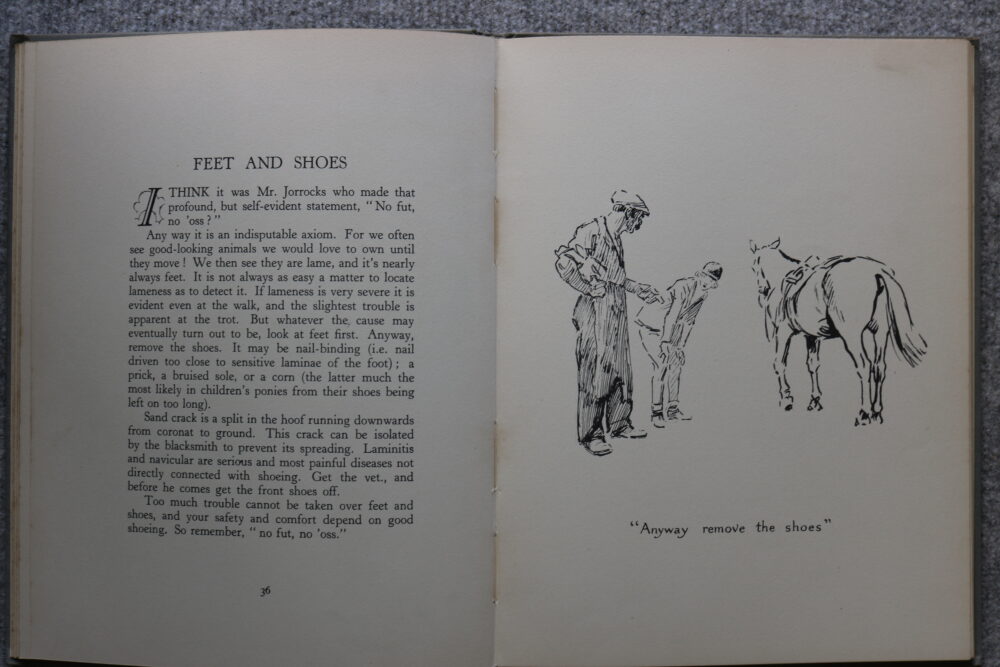 Getting To Know Your Pony, Lionel Edwards - Image 11