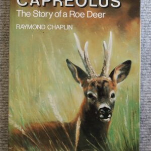 Capreolus, The Story of a Roe Deer, Raymond Chaplin