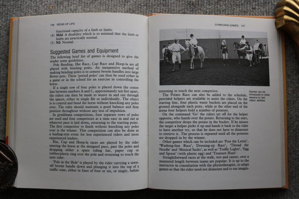 The Reins of Life, An Instructional and informative Manual on Riding For The Disabled, John Anthony Davies - Image 13
