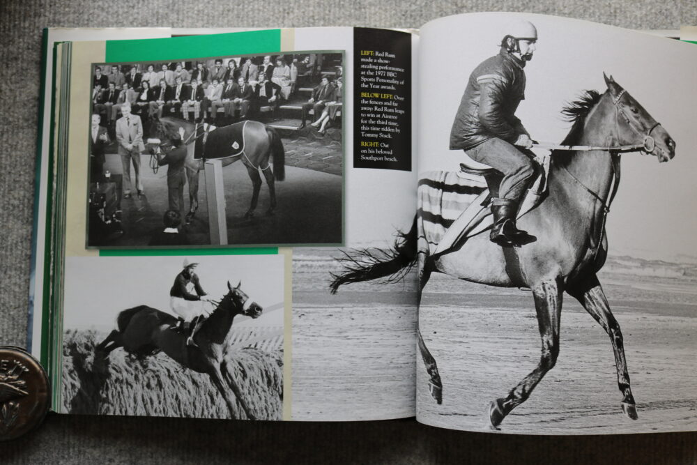 When Racing Was Racing, A Century of Horse Racing, Adam Powley - Image 13