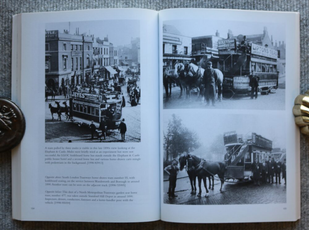 Horse Transport in London, Samantha Ratcliffe - Image 15