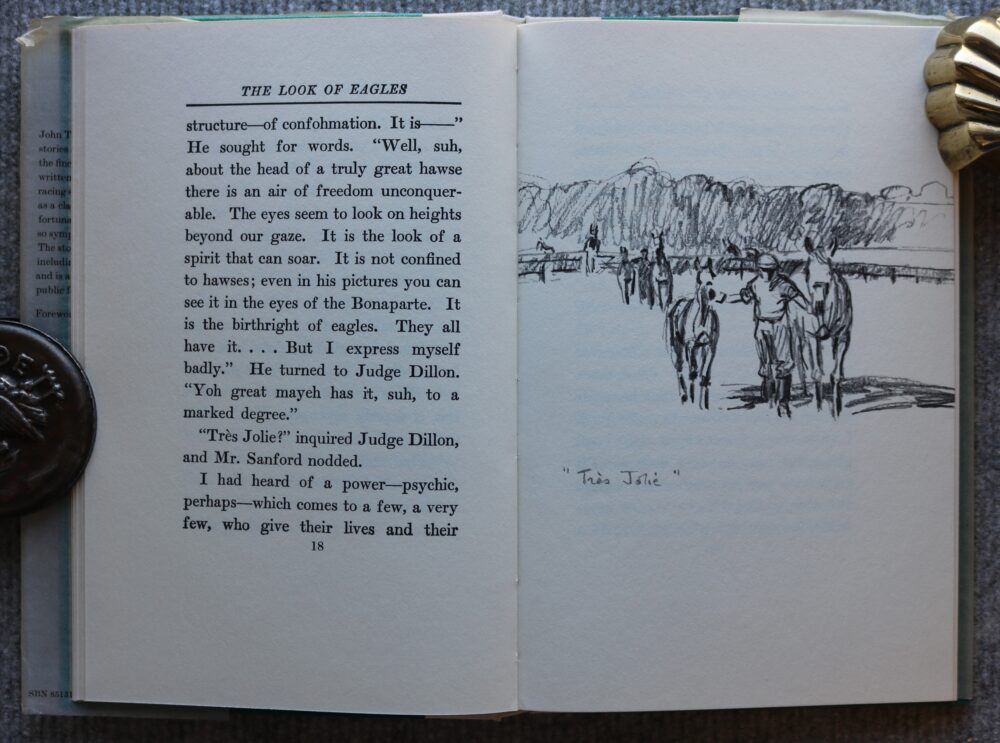 The Look of Eagles, John Taintor Foote, Illustrated by Peter Biegel - Image 9