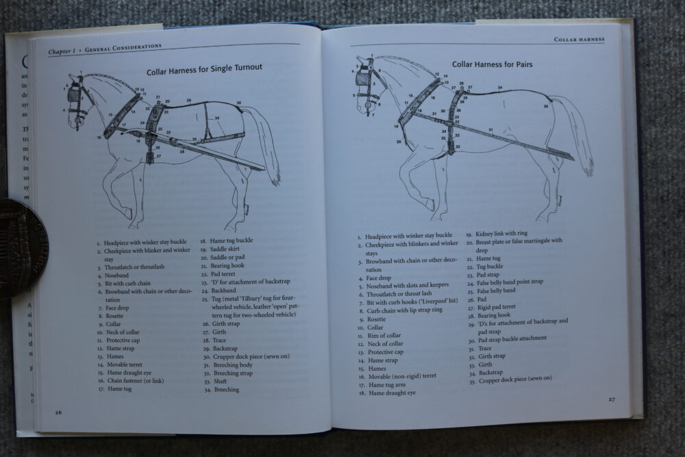 The Principles of Driving Carriage Horses, G.N.E.F. - Image 9