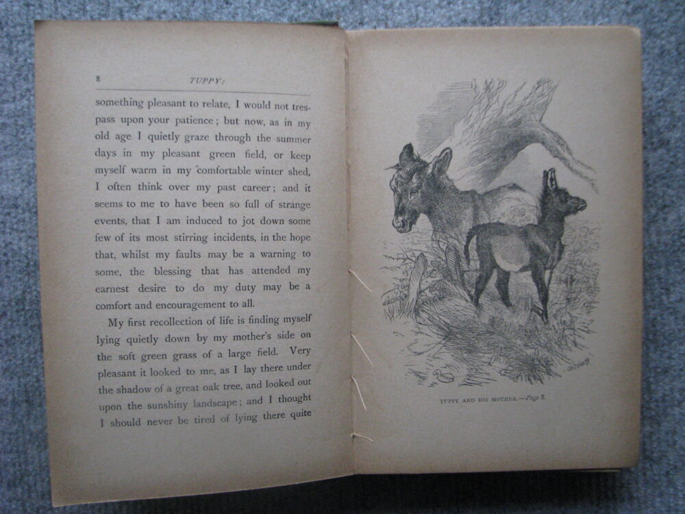 Tuppy, or The Autobiography of a Donkey, Mrs E Burrows, Illustrated by Harrison Weir - Image 5