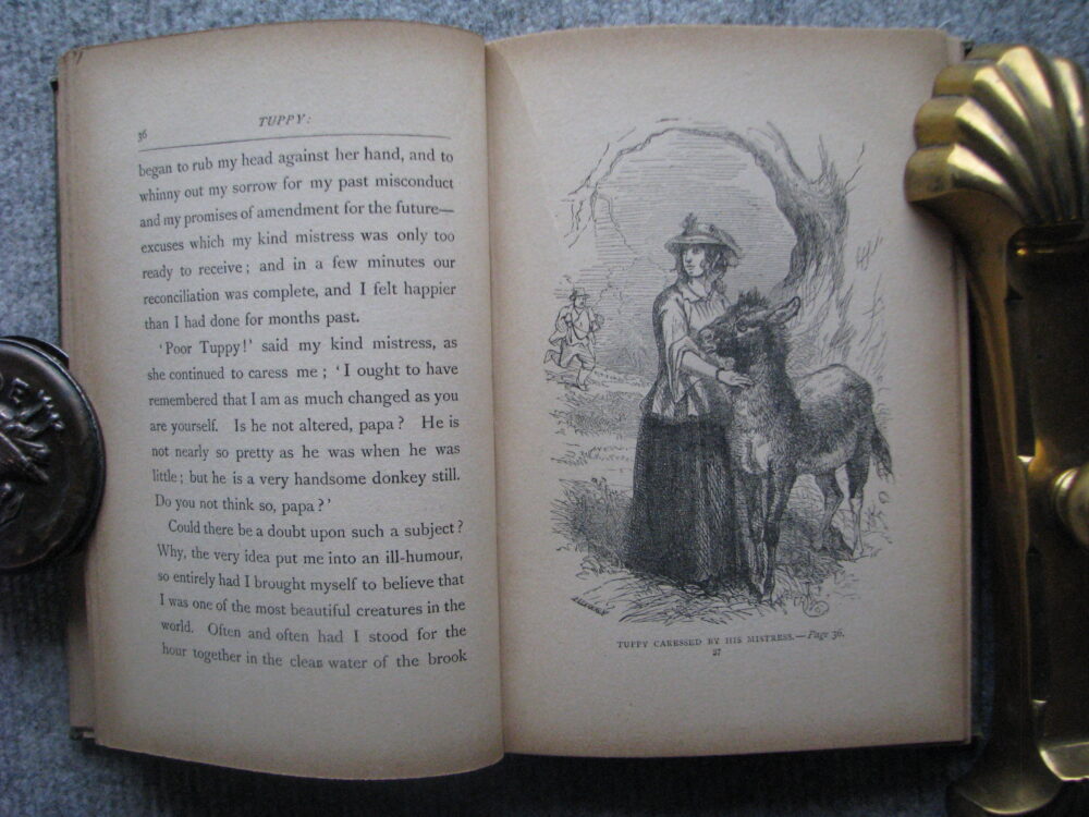Tuppy, or The Autobiography of a Donkey, Mrs E Burrows, Illustrated by Harrison Weir - Image 6