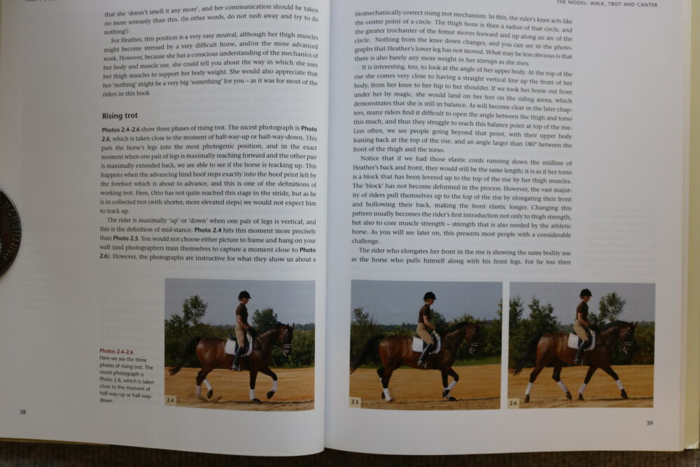 Mary Wanless, Ride With Your Mind Clinic, Rider Biomechanics - Basic To Brilliance - Image 7
