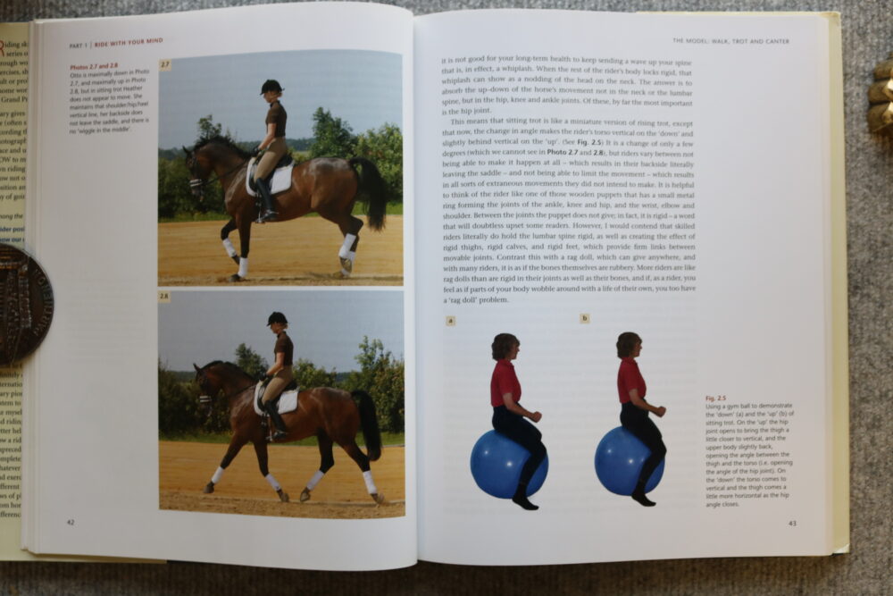 Mary Wanless, Ride With Your Mind Clinic, Rider Biomechanics - Basic To Brilliance - Image 8